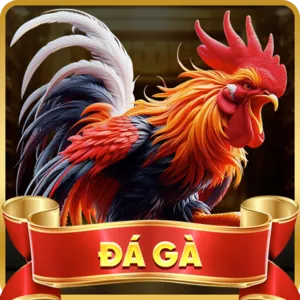 Mạng xã hội K9CC tải game